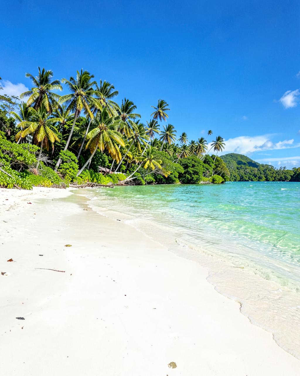 Praia de água doce com areia branca e palmeiras